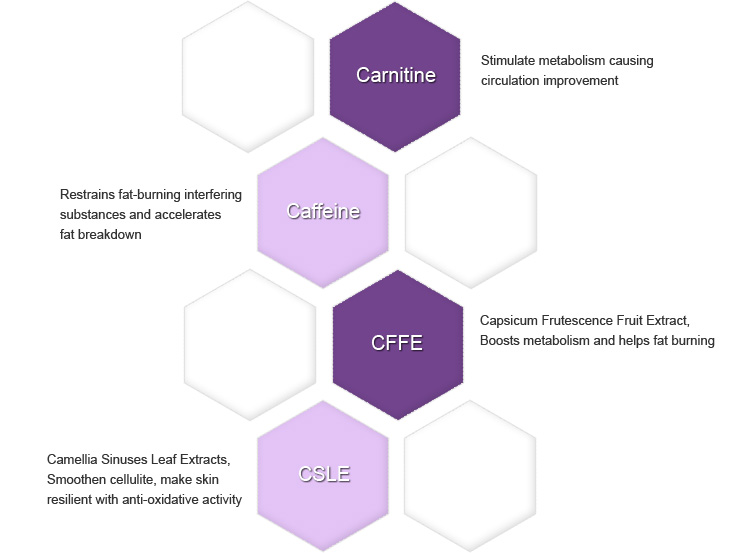 Carnitine, Caffeine, CFFE, CSLE